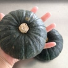 坊ちゃんかぼちゃ クリームチーズグラタン レシピ 作り方 By 栗皮茶 楽天レシピ 坊ちゃんかぼちゃ クリームチーズグラタン レシピ 作り方 By 栗皮茶 楽天レシピ